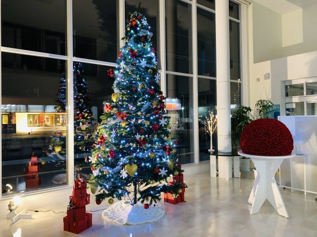 本店にクリスマスツリーを設置しました!